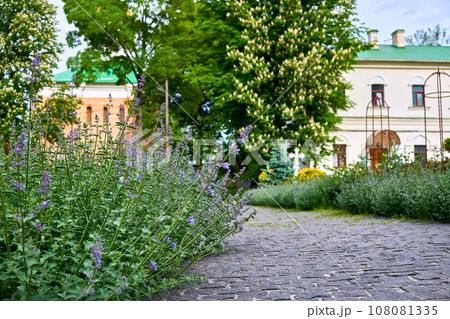Lilac Walkers Low garden flowers,old cobblestone path,spring monastery courtyard Lilac Walkers Low garden flowers,old cobblestone path,spring monastery courtyard 108081335