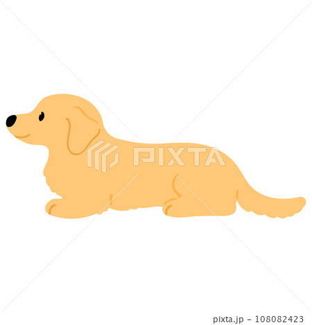 伏せをするミニチュアダックスフンドのイラスト　主線なし 108082423