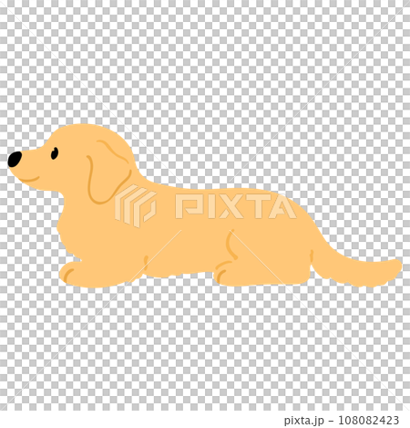 伏せをするミニチュアダックスフンドのイラスト　主線なし 108082423