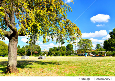都立 城北中央公園 クローバー広場、リンゴ広場周辺(東京都練馬区)【2023.10】 108082851