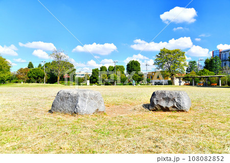 都立 城北中央公園 クローバー広場、リンゴ広場周辺(東京都練馬区)【2023.10】 都立 城北中央公園 クローバー広場、リンゴ広場周辺(東京都練馬区)【2023.10】 108082852