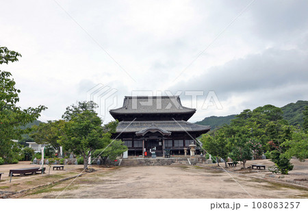 周防国分寺の楠 周防国分寺の楠 108083257