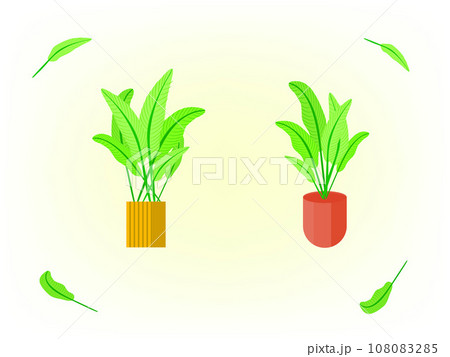 Tropical leaf tree houseplant for decorative vector illustration 108083285