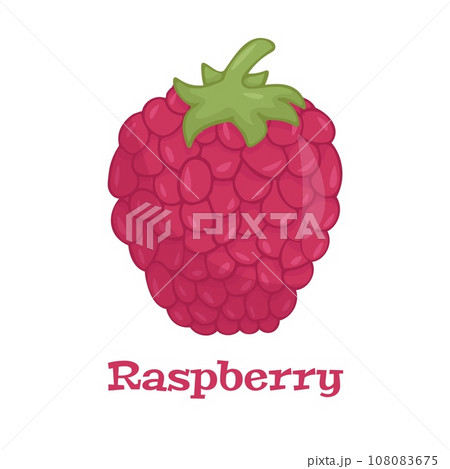 Raspberry with leaf vector icon. Raspberry icon clipart. Raspberry cartoon. Raspberry with leaf vector icon. Raspberry icon clipart. Raspberry cartoon. 108083675