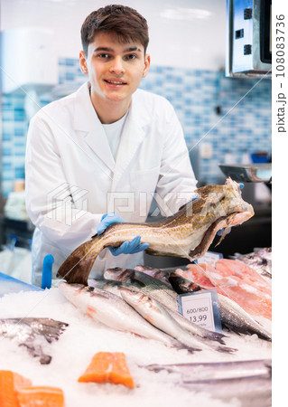 Positive salesman demonstrating cod in fish store Positive salesman demonstrating cod in fish store 108083736