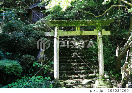 毛呂山町の阿諏訪川上流の傍らに鎮座する八坂神社の風景 108084260
