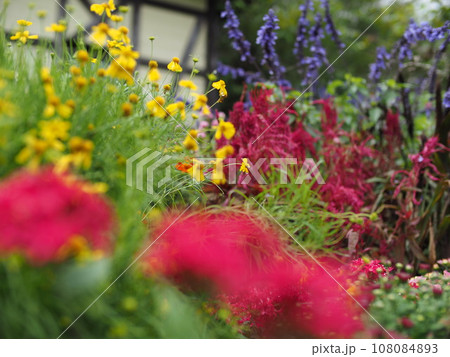 ガーデニング 108084893