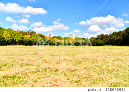 都立 城北中央公園 競技場(東京都練馬区)【2023.10】 都立 城北中央公園 競技場(東京都練馬区)【2023.10】 108086952