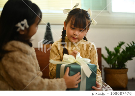 Two sisters exchanging Christmas presents, celebrating on winter holidays together at home 108087476