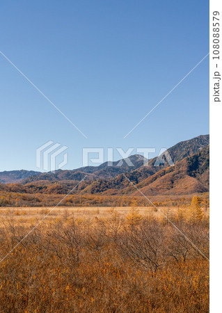 【栃木県】秋晴れの奥日光戦場ヶ原（10月） 108088579
