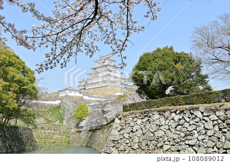 姫路市立動物園内から見える　姫路城（世界遺産）と桜 108089012