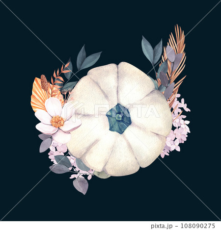 Watercolor whole fresh white pumpkin and flowers. Hand-drawn illustration isolated on black background. Perfect for menu cafe, template eco natural food, cooking, packing food, card thanksgiving 108090275