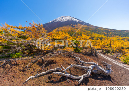 奥庭の紅葉 富士山 富士山五合目 吉田口 奥庭の紅葉 富士山 富士山五合目 吉田口 108090280