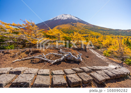 奥庭の紅葉　富士山　富士山五合目　吉田口 108090282