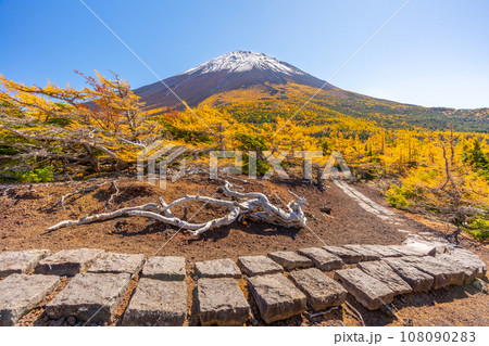 奥庭の紅葉　富士山　富士山五合目　吉田口 108090283