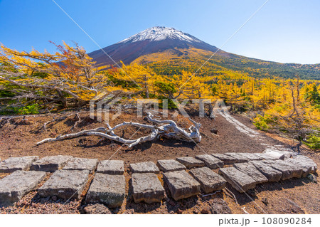 奥庭の紅葉 富士山 富士山五合目 吉田口 奥庭の紅葉 富士山 富士山五合目 吉田口 108090284
