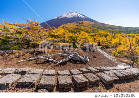 奥庭の紅葉　富士山　富士山五合目　吉田口 108090286