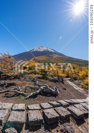 奥庭の紅葉　富士山　富士山五合目　吉田口 108090289