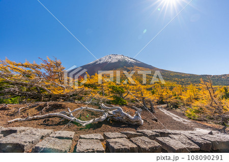 奥庭の紅葉　富士山　富士山五合目　吉田口 108090291