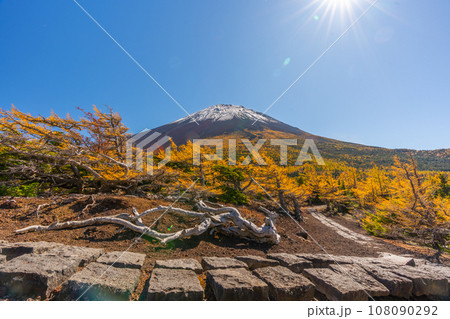 奥庭の紅葉 富士山 富士山五合目 吉田口 奥庭の紅葉 富士山 富士山五合目 吉田口 108090292