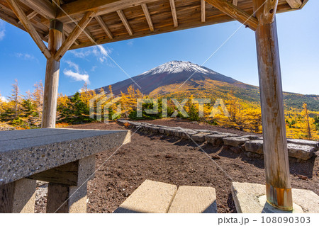 奥庭の紅葉 富士山 富士山五合目 吉田口 奥庭の紅葉 富士山 富士山五合目 吉田口 108090303