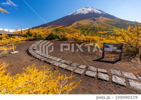 奥庭の紅葉　富士山　富士山五合目　吉田口 108090329