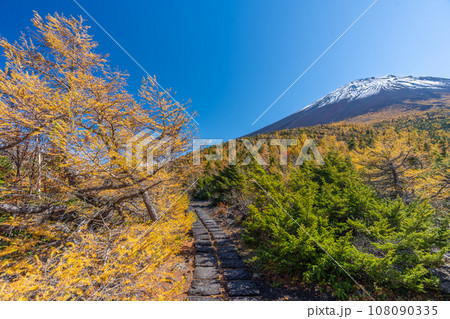 奥庭の紅葉 富士山 富士山五合目 吉田口 奥庭の紅葉 富士山 富士山五合目 吉田口 108090335
