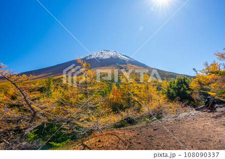 奥庭の紅葉　富士山　富士山五合目　吉田口 108090337