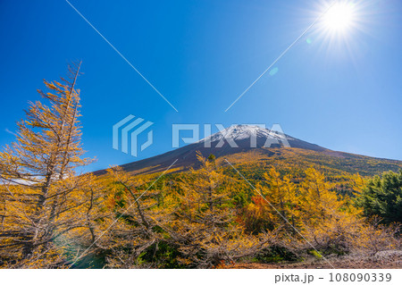 奥庭の紅葉 富士山 富士山五合目 吉田口 奥庭の紅葉 富士山 富士山五合目 吉田口 108090339