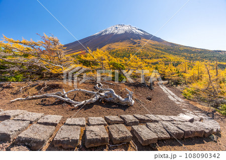 奥庭の紅葉　富士山　富士山五合目　吉田口 108090342