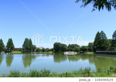 池がある公園の風景 池がある公園の風景 108090629
