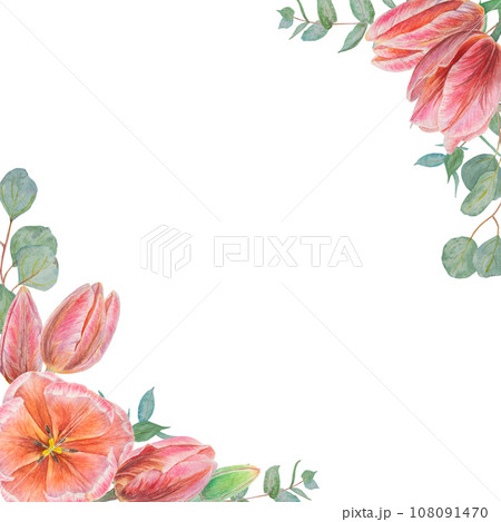 Watercolor hand drawn realistic botanical illustration of pink tulip flowers and eucalyptus branches frame, corners for your design, wedding print products, paper, invitations, cards, fabric, posters Watercolor hand drawn realistic botanical illustration of pink tulip flowers and eucalyptus branches frame, corners for your design, wedding print products, paper, invitations, cards, fabric, posters 108091470