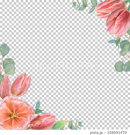 Watercolor hand drawn realistic botanical illustration of pink tulip flowers and eucalyptus branches frame, corners for your design, wedding print products, paper, invitations, cards, fabric, posters Watercolor hand drawn realistic botanical illustration of pink tulip flowers and eucalyptus branches frame, corners for your design, wedding print products, paper, invitations, cards, fabric, posters 108091470