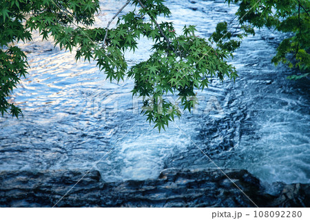 湯河原温泉街の清流とモミジ 湯河原温泉街の清流とモミジ 108092280