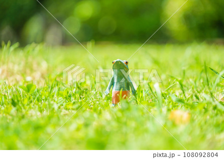 カエルの人形のイメージ 108092804