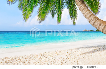 Coconut palm trees against blue sky and beautiful beach 108093388