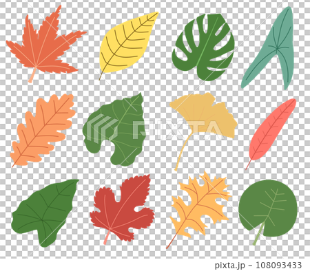 Illustration set of various leaves Illustration set of various leaves 108093433
