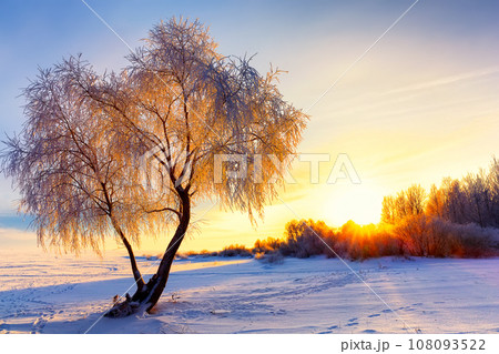 Beautiful winter landscape with forest, trees covered snow and sunrise. Beautiful winter landscape with forest, trees covered snow and sunrise. 108093522