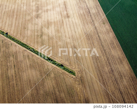 An old irrigation canal overgrown with trees among a wheat field, aerial view. Dry irrigation canal in the field, landscape. 108094142