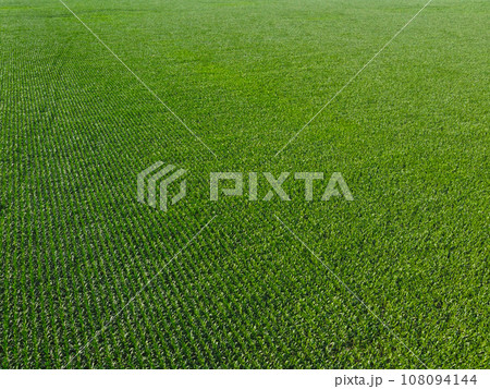 Extensive corn fields, top view. Green farm fields, landscape. 108094144