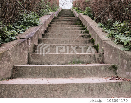 Old mossy concrete steps leading up. Ladder up. Old mossy concrete steps leading up. Ladder up. 108094179