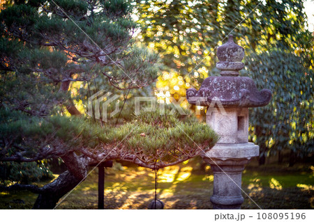 妙心寺・退蔵院の秋、西日が差す庭の松と石灯籠、秋色の光の渦 108095196