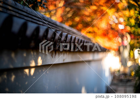 妙心寺・退蔵院の秋、水子地蔵へと続く白壁の築地塀に西日が差す秋のイメージ、　光の渦 108095198