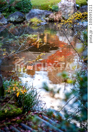 妙心寺・退蔵院の秋、余香苑の池の水面に映った紅葉の秋色 妙心寺・退蔵院の秋、余香苑の池の水面に映った紅葉の秋色 108095211