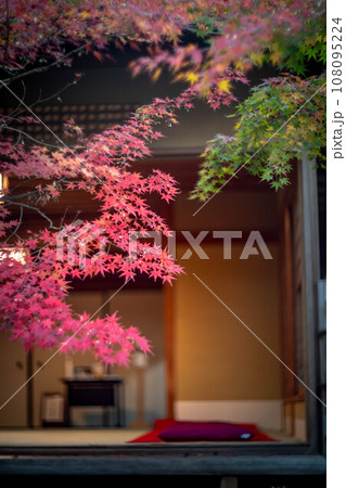 妙心寺・退蔵院の秋、茶席・大休庵前のカラフルな紅葉 108095224