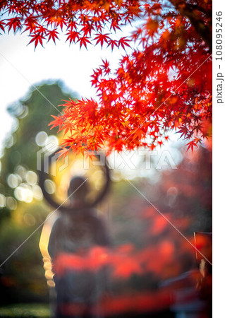 妙心寺・退蔵院の秋、見頃の真っ赤な紅葉と秋色の光の渦の中にたたずむ水子地蔵のシルエット 108095246