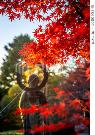 妙心寺・退蔵院の秋、見頃の真っ赤な紅葉と秋色の光の渦の中にたたずむ水子地蔵のシルエット 108095249