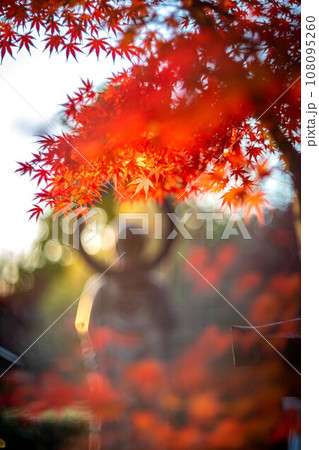 妙心寺・退蔵院の秋、見頃の真っ赤な紅葉と秋色の光の渦の中にたたずむ水子地蔵のシルエット 108095260