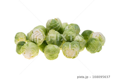 Brussels sprouts isolated Brussels sprouts isolated 108095637
