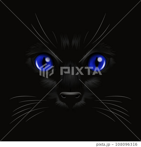 Vector d Realistic Blue Cats Eye of a Black のイラスト素材 PIXTA